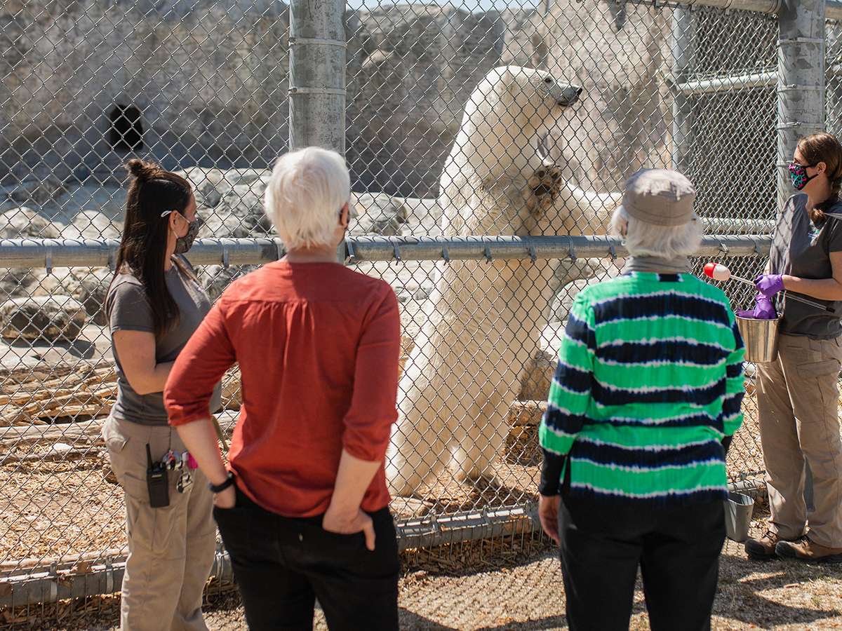 - Behind the Scenes: Polar Bear Honorary Trainer
