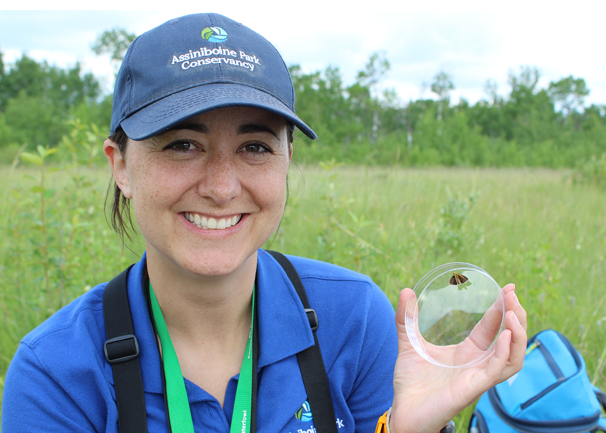 Conservation Research Specialist Laura holds a Poweshiek skipperling